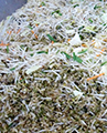 廃棄野菜